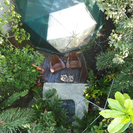 מלון Florencia Momotus Glamping מראה חיצוני תמונה