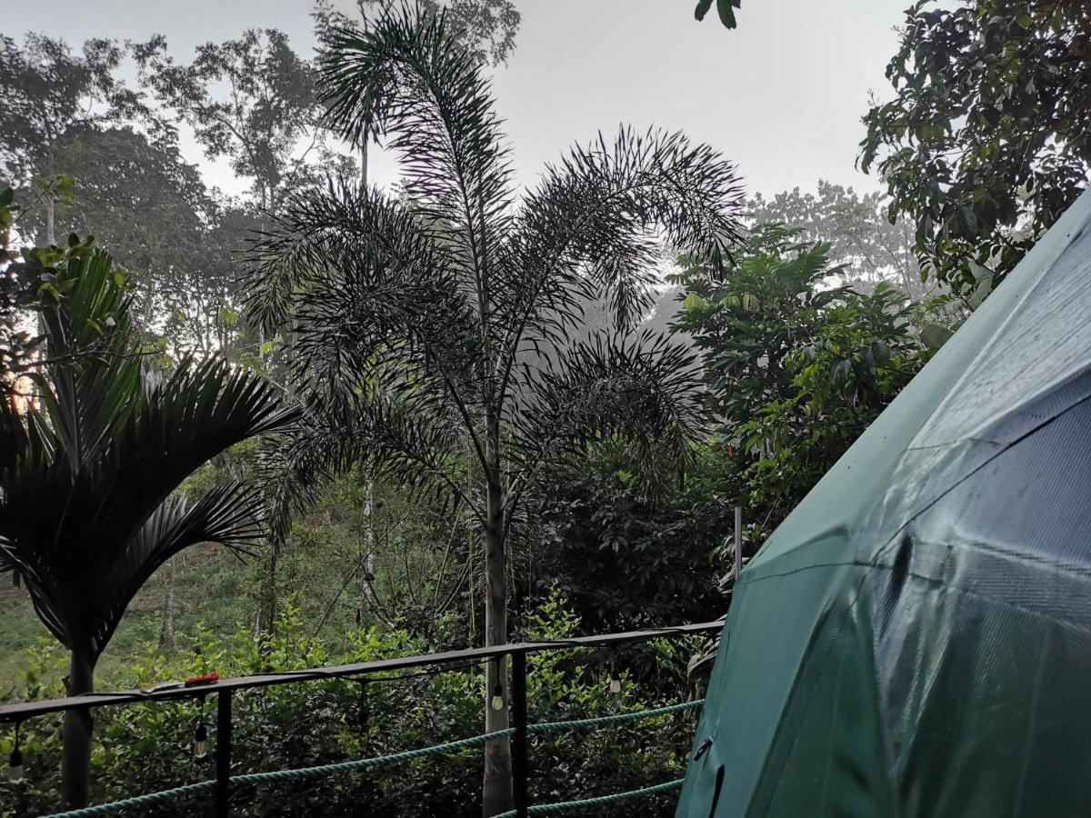מלון Florencia Momotus Glamping מראה חיצוני תמונה