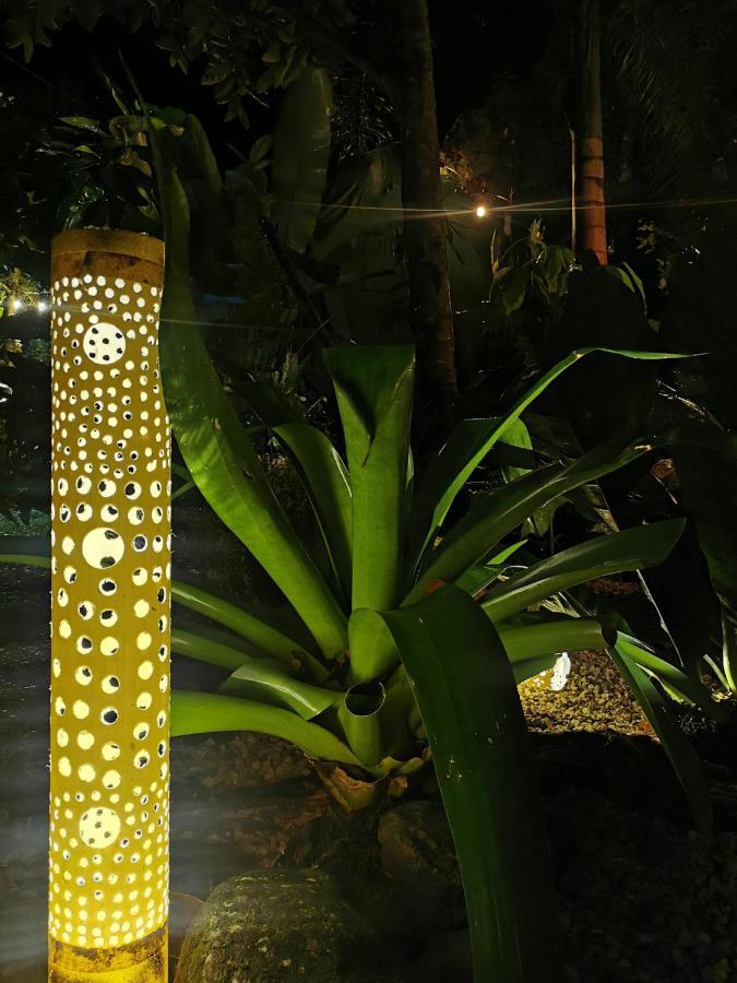 מלון Florencia Momotus Glamping מראה חיצוני תמונה