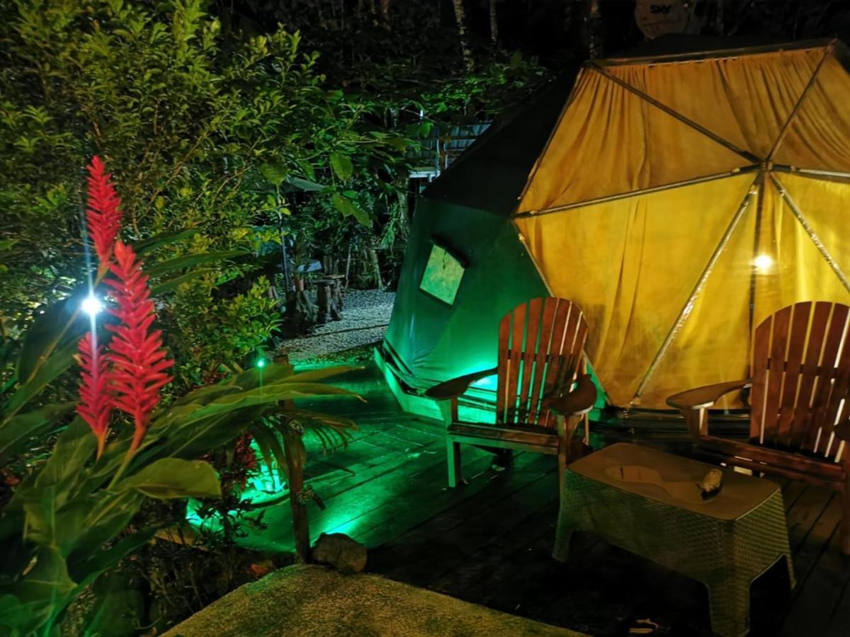 מלון Florencia Momotus Glamping מראה חיצוני תמונה