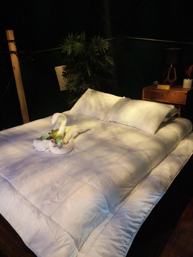 מלון Florencia Momotus Glamping מראה חיצוני תמונה