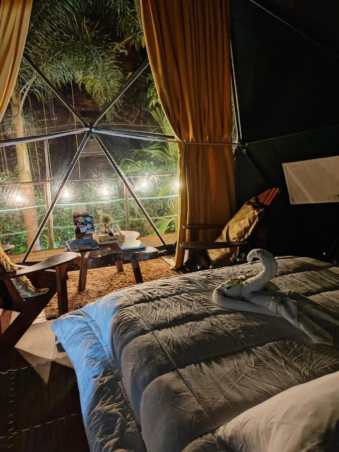 מלון Florencia Momotus Glamping מראה חיצוני תמונה