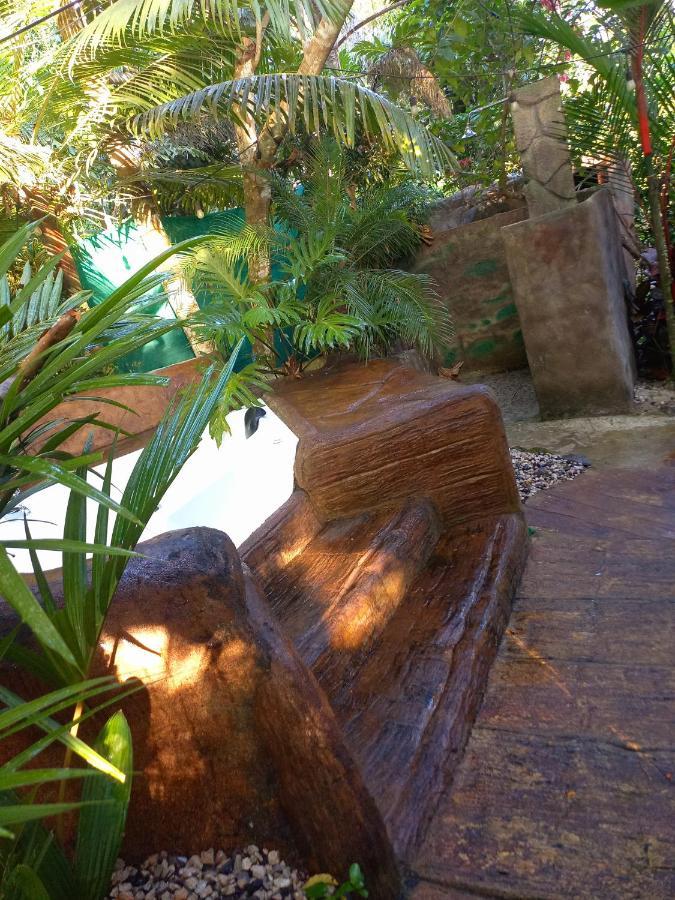מלון Florencia Momotus Glamping מראה חיצוני תמונה