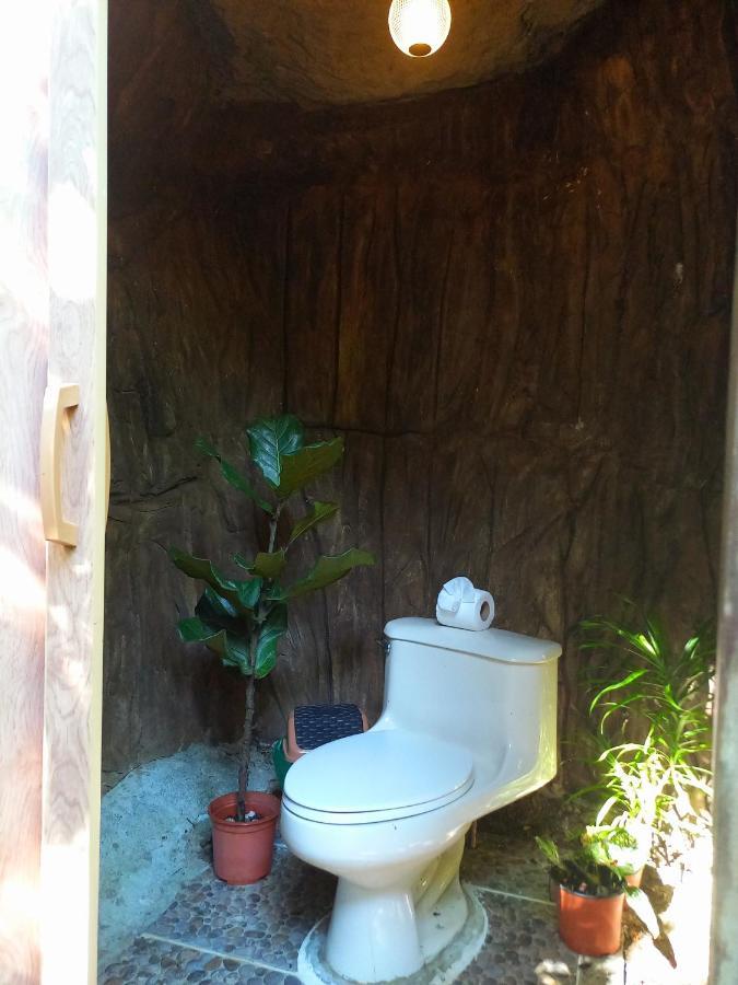 מלון Florencia Momotus Glamping מראה חיצוני תמונה