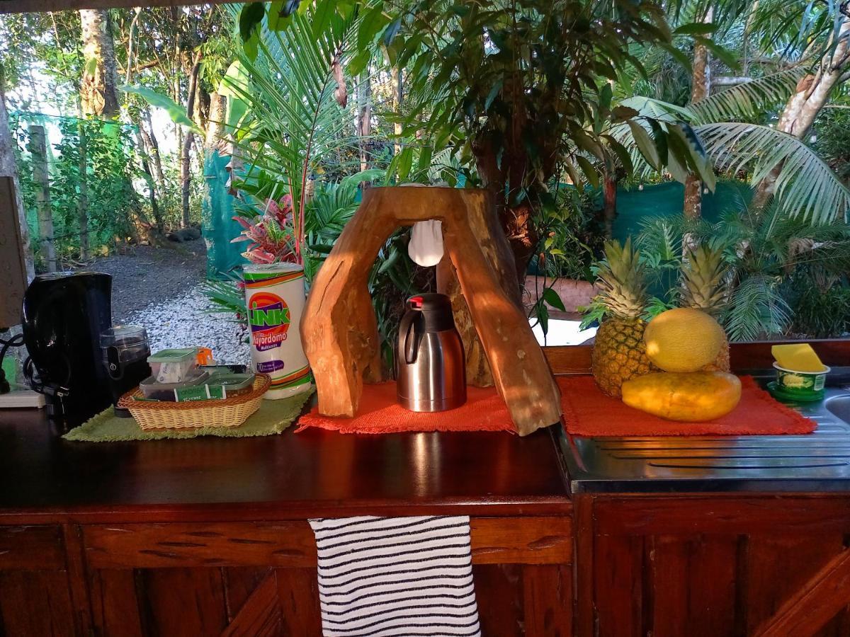 מלון Florencia Momotus Glamping מראה חיצוני תמונה