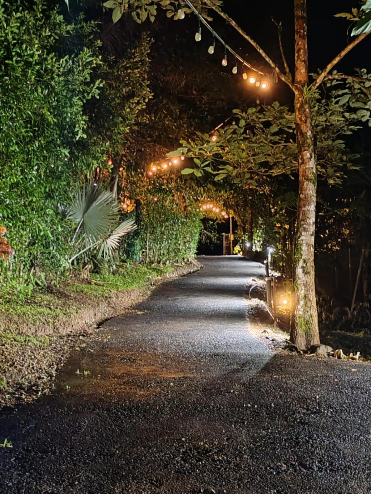 מלון Florencia Momotus Glamping מראה חיצוני תמונה